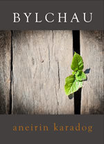 Bylchau (English and Welsh Edition)