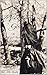 The Misbegotten Girl: A Pri...
