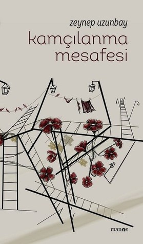 Kamçılanma Mesafesi (Paperback)