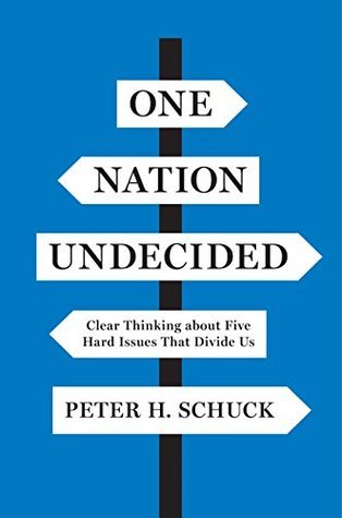 One Nation Undecided: Clear Thinking about Five Hard Issues That Divide Us (Hardcover)