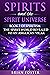 Spirits and the Spirit Univ...