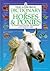 Dictionary of Horses & Ponies