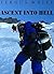 Ascent Into Hell by Fergus White