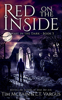 Red on the Inside (Awake in the Dark, #3)