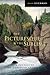The Picturesque and the Sublime: A Poetics of the Canadian Landscape