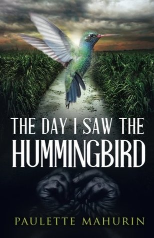 The Day I Saw the Hummingbird: A Novel (Paperback)