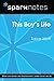 This Boy's Life (SparkNotes Literature Guide)