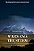 War's End: The Storm