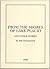 From The Shores Of Lake Placid And Other Stories by Bill Drummond From The Shores Of Lake Placid And Other Stories by Bill Drummond