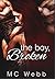 The Boy, Broken
