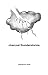 charcoal thunderstorms