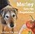 Marley Eats His Vegetables
