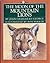 The Moon of the Mountain Lions (The Thirteen Moons Series)