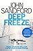 Deep Freeze (Virgil Flowers #10)