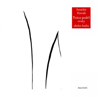 Tráva podél cesty