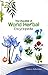 The Checklist of World Herbal Encyclopedia by Acharya Balkrishna