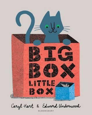Big Box Little Box (Hardcover)