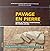 Pavage en pierre, Guide de ...