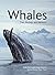 Whales: Their Biology and Behavior