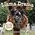 Llama Drama 2018: 16 Month ...