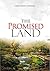 THE PROMISED LAND by Chris Segun Onayinka