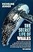 The Secret Life of Whales: A Marine Biologist Reveals All