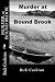 Murder at Bound Brook: Cape Cod Mystery
