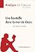 Une bouteille dans la mer de Gaza de Valérie Zenatti (Fiche de lecture): Analyse complète, résumé détaillé et clés de lecture du roman jeunesse sur le conflit israélo-palestinien (French Edition)