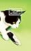 From the Belly of the Cat by Stephanie Ye