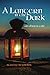 A Lantern in the Dark (The O'Brien Tales, #2)