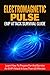 Electromagnetic Pulse by James Johnson