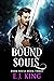Bound Souls (Dark Souls #3)