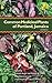 Common Medicinal Plants of Portland, Jamaica