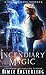 Incendiary Magic (Dragon Mage Chronicles #2.5)