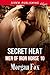 Secret Heat (Men of Iron Ho...