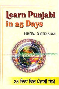 Learn Punjabi in 25 Days (Paperback)