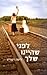 לפני שהיינו שלך by Lisa Wingate