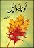 Toota Hua Pal / ٹوٹا ہوا پل