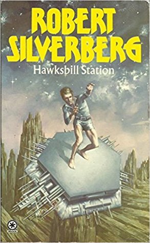 Hawksbill Station