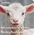 Mummy's Little Farm Babies