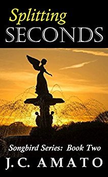 Splitting Seconds (Songbird, #2)