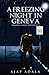 A Freezing Night in Geneva by Ajay Adala A Freezing Night in Geneva by Ajay Adala