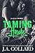 Taming Hawke (Blood Brother...