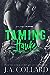 Taming Hawke (Blood Brothers MC #3)