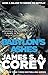 Babylon's Ashes (The Expanse, #6)