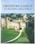 Chepstow Castle by Rick Turner