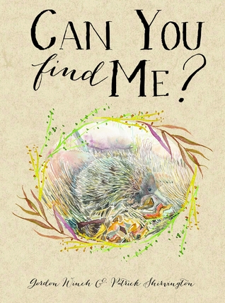 Can You Find Me? (Hardcover)