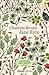 Jane Eyre by Charlotte Brontë