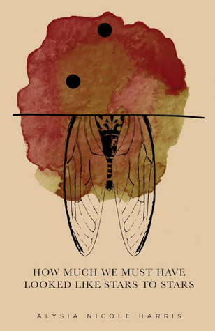 How Much We Must Have Looked Like Stars to Stars (Paperback)