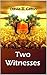 Two Witnesses (Millennial R...